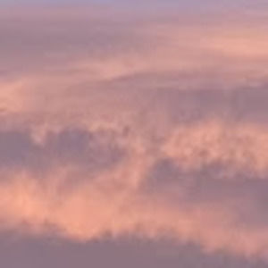 Meet your Posher, Bella